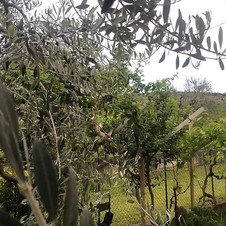 Bardolino,lago Di Garda, Appartamento,vacanze Apartment