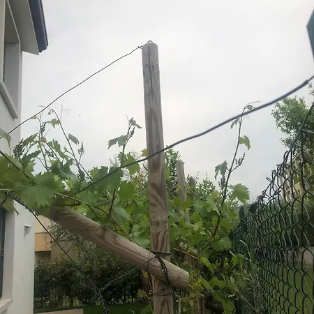 Bardolino,lago Di Garda, Appartamento,vacanze Apartment